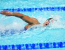 nuoto staffetta dx100m stile libero sfe06615 copia simone ferraro ph